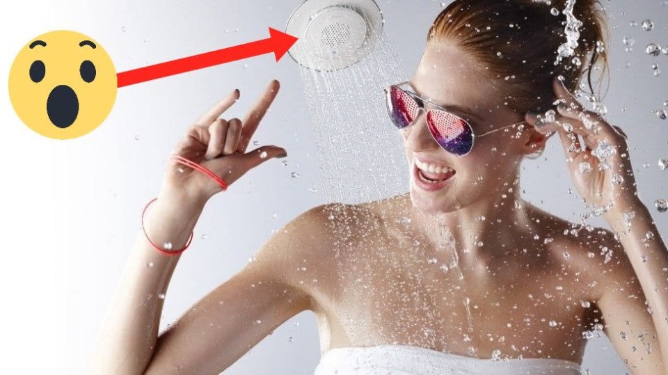 Kohler Moxie Showerhead